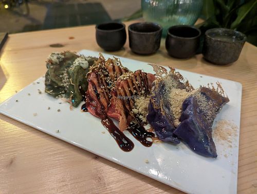 Gyoza selection at Plant Based Sushi in Amsterdam