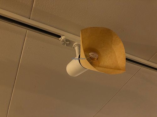 Coffee filter spot at Plant Based Sushi in Amsterdam