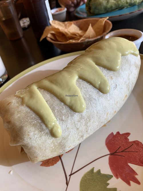 Gratitude burrito  at Viva Mexicana in Sebastopol
