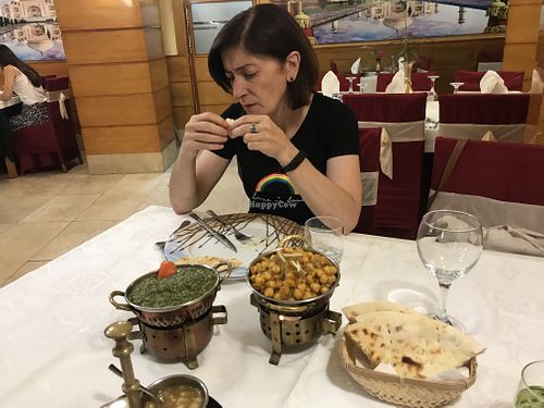All the food at Taj Mahal in Burgos