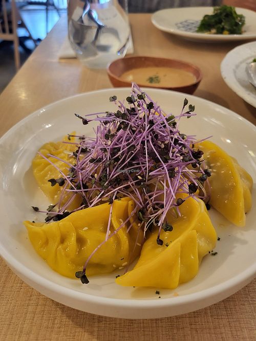 Sauerkraut dumplings at Little Tree Food 小小樹食 - Xiǎo Xiǎo Shù Shí in Taipei