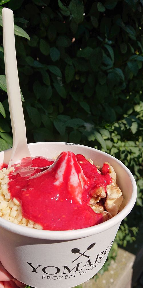 Size "s" frozen soy yoghurt at YOMARO - Oberkassel in Dusseldorf