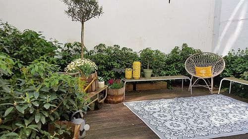 Inside at Pluk in Amsterdam