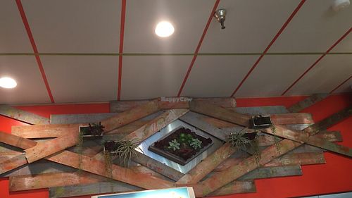 Wall art at Organic Juice Infusion in Woodland Hills