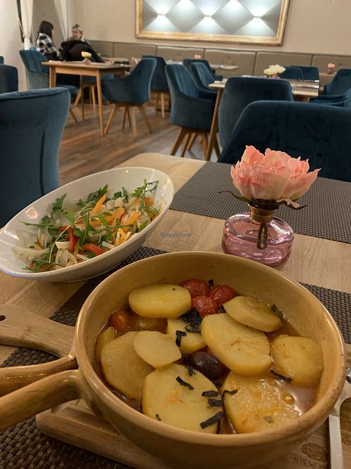 Potato stew, “sour” salad... both very tasty at Opera in Rijeka