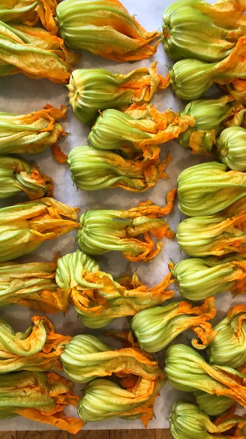 Squash Blossoms  at Local Vegan in Seattle