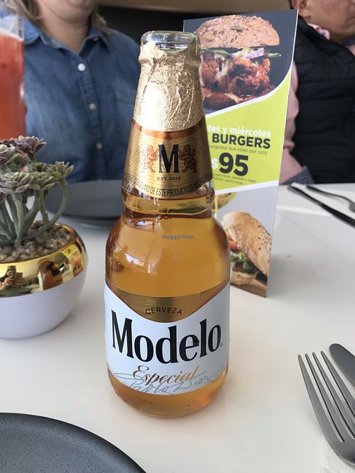 Tasty beer  at Vegan Inc in Puebla