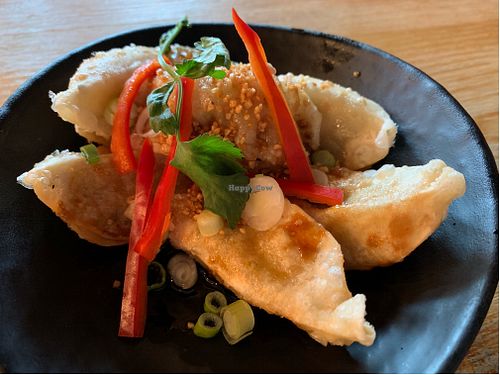 Fried dumplings  at Thaikhun in Aberdeen
