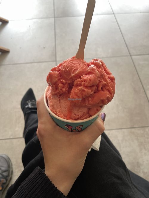 Watermelon and strawberry sorbet   at Is-Kompagniet in Loekken