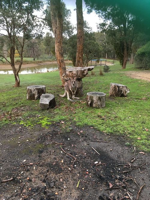 Stephanie's Country Cottages - from its webpage at Stephanie's Country Cottages in Drummond North