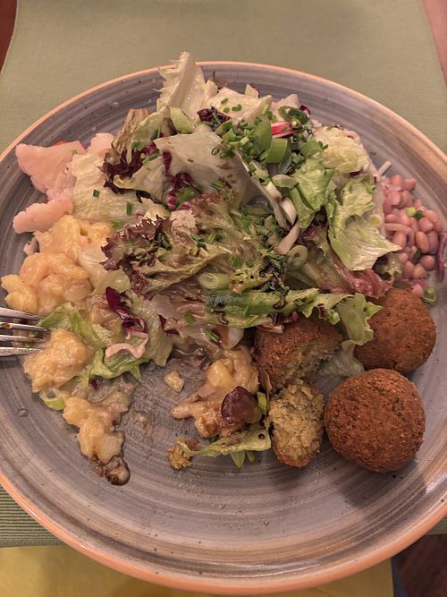 Falafel bowl with salads  at Winkler in Muerzzuschlag