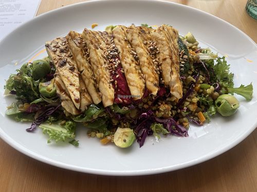   at Luna's Vegan Corner in Cardiff