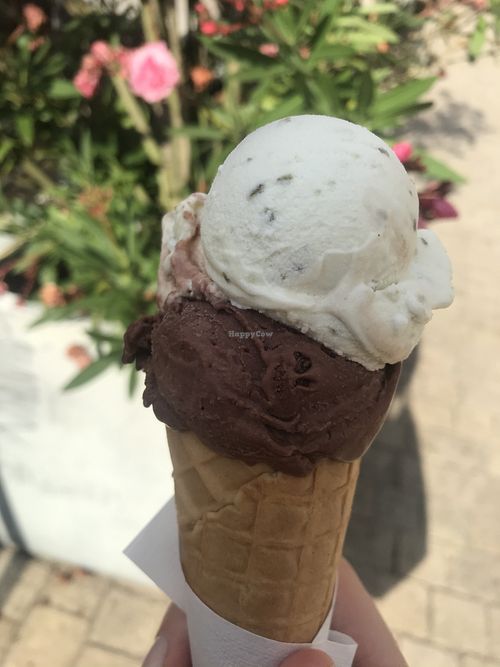 Vegan: Schoko küsst Brombeere & Gurke-Limette  at Palazzo Sandro in Landau