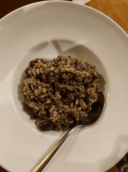 Risotto with mushroom : ask it vegan they won't add cream or cheese. It was good at Populi Vox in Dubrovnik