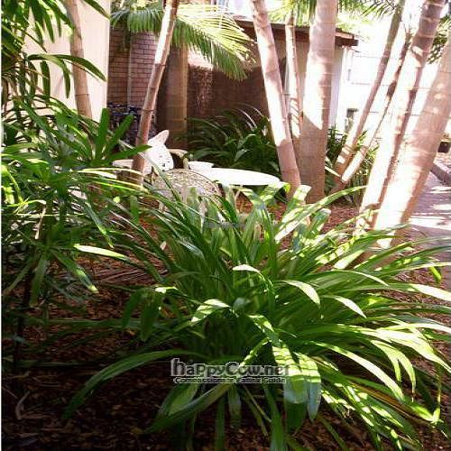  at Santos Health Foods & Cafe in Byron Bay