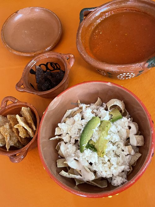   at Veggicano Plant Based in Mexico City