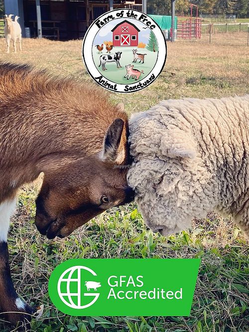   at Farm of the Free in Good Hope