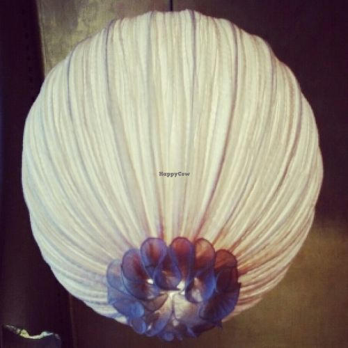 interior  at Maitrea in Prague