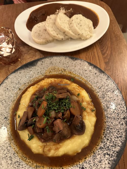   at Maitrea in Prague