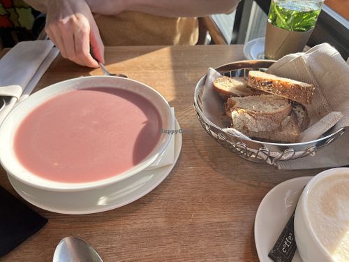 The truffle and salsify soup was lovely
  at Mill'Feuille in Luzern