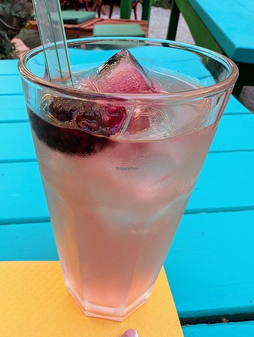 House made kombucha with mulberry at Grön Vegan Yard in Nicosia