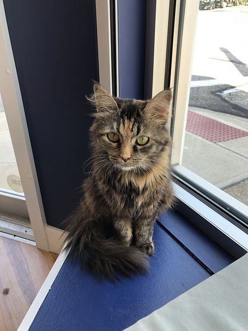 Butter Pecan at affoGATO in Cleveland