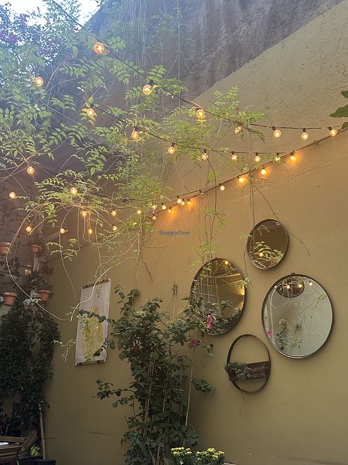   at Aromaticus - Trastevere in Rome