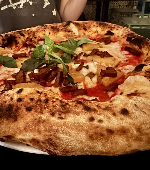   at Plant A Pizza in Ghent