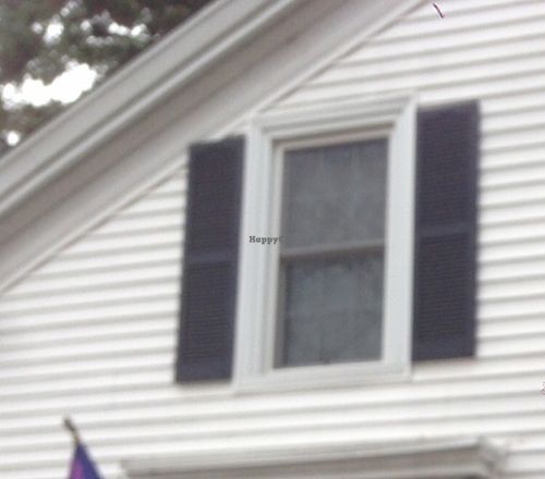 Front of Cafe at Orange Cat Coffee Co. in Lewiston