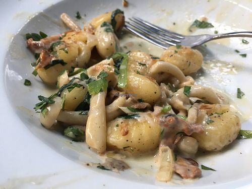 The mushroom gnocci. Flavours on this!! at The Purple Robot in Hull