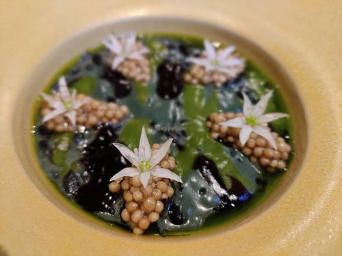  at De Nieuwe Winkel in Nijmegen