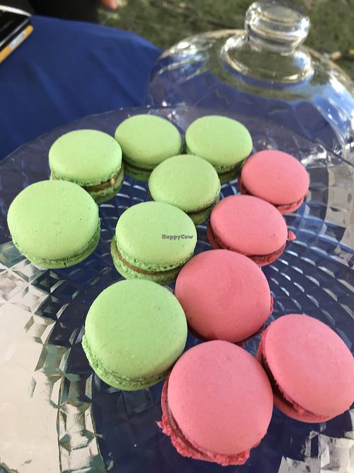 Vegan macarons! at Vincent Casa de Chá in Brasilia