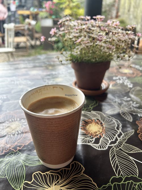 Oat latte  at The Wildflour Cafe in Brighton