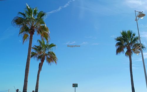 View from Brew Rock, Albir at Brew Rock in Altea