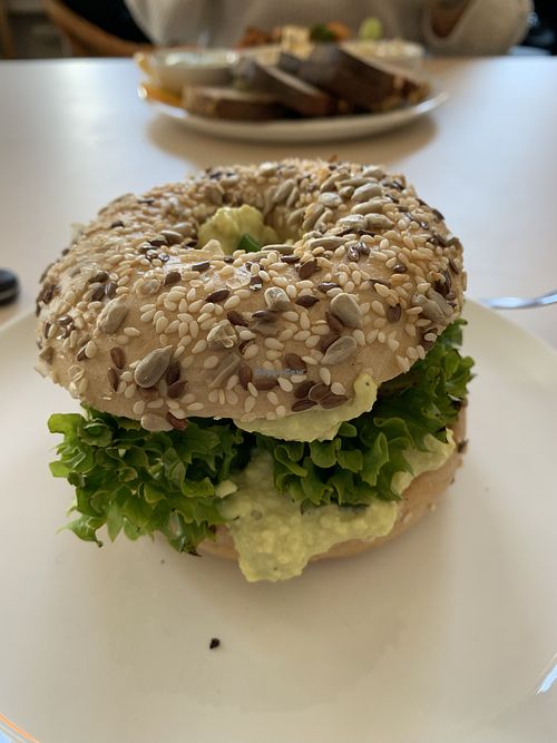   at Plant Base in Berlin