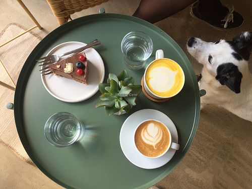 Flat white, golden latte, and tofu-based chocolate ‘cheesecake' at Plant Base in Berlin