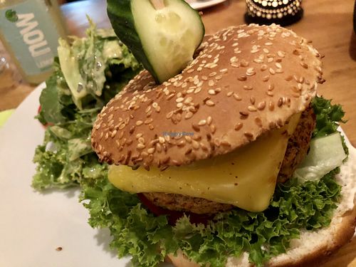 hawai'i burger & side salad at Signor Verde in Cologne