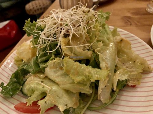 side salad at Signor Verde in Cologne