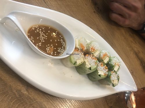 fresh spring rolls at Dobro Jutro Vietnam - Good morning Vietnam in Ljubljana