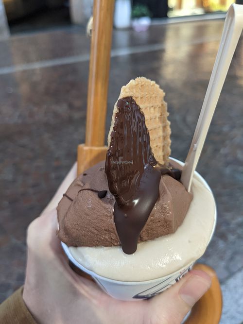 Vegan icecream at Toldo Gelateria in Lecco