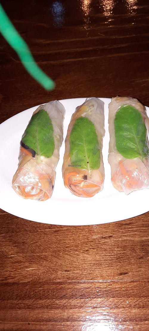 Autumn spring rolls at Vina Vegan in Newtown