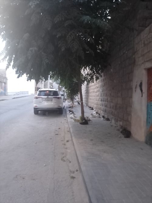  at Bayt Sara in Amman