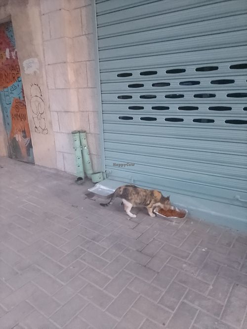  at Bayt Sara in Amman