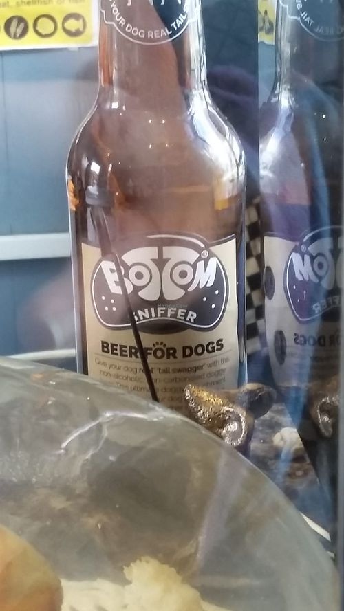 Dog friendly drinks at The Apothecary Cafe in Newcastle Upon Tyne