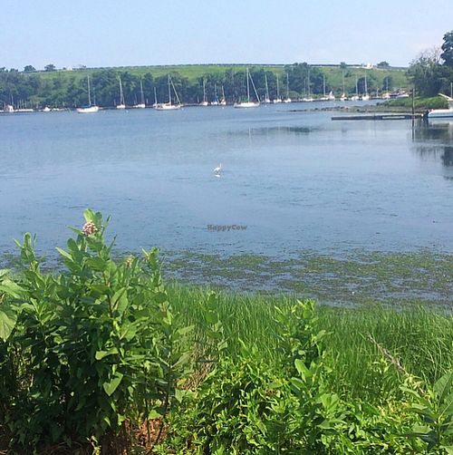 beautiful views at Bloodroot in Bridgeport