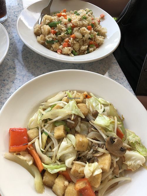 Tofu fried rice... and a veggie tofu rice dish at Tofu Hut in Lacey