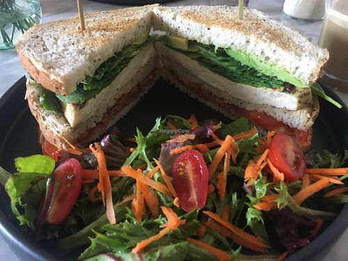 Tofu Club (served with salad) - delicious!  at Marmalade in Merida