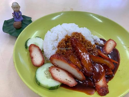 Char Siew Rice
Photo by Mr Henry Lau at Vegetarian Ideas 不荤主义 in Northeast Singapore