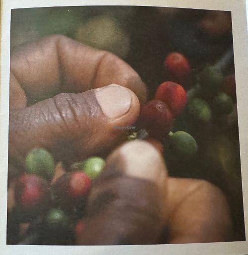   at Café GUTTUT in Dortmund