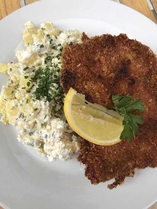 Schnitzel at Försters - Schivelbeiner in Berlin
